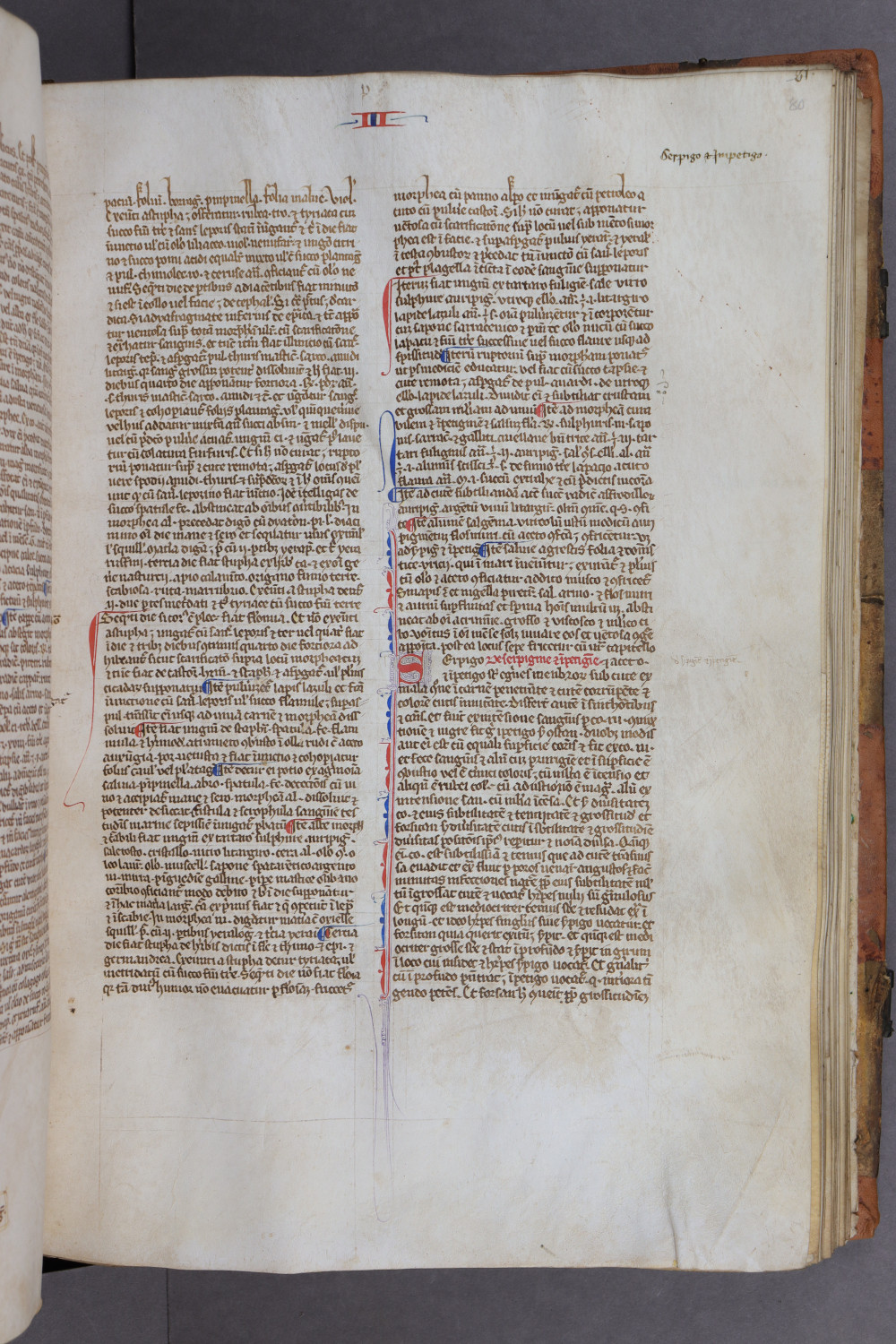 Folio 80 recto